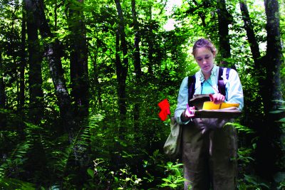 student working in the UConn Forest taking notes